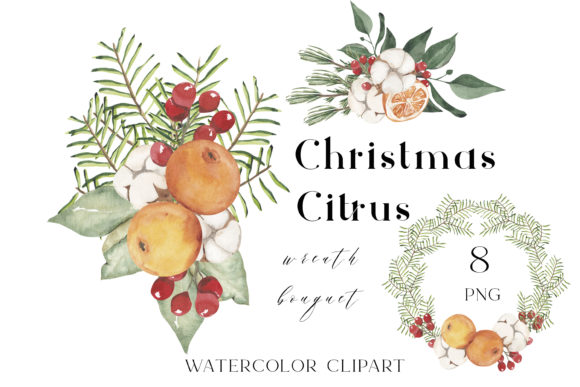Festive Citrus Wreath Illustrations for Branding